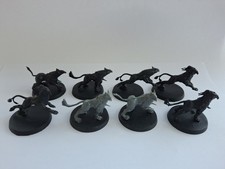 8 x GRYPH HOUNDS, STORMCAST ETERNALS, WARHAMMER AGE OF SIGMAR AOS