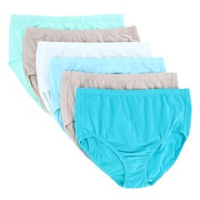 Fruit of the Loom Women's Plus Size Cotton-Mesh Brief Underwear 6 Pack 