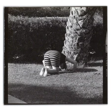 Snapshot Photo of Striped Shorts near a Palm Tree - 1970s Lady Doing Summersault