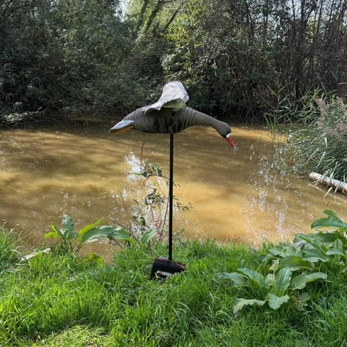 Flapping Greylag Goose Decoy Motorised 12v Realistic Wing Motion Life Size Decoy - Picture 4 of 16
