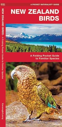 James Kavanagh Waterford Press New Zealand Birds (Pamphlet)