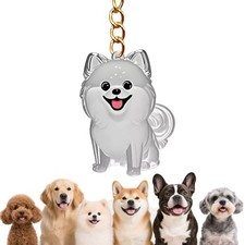 Dog Hair Collector Keychain Pet Fur Keepsake Purse Bag Charms for C: Pomeranian