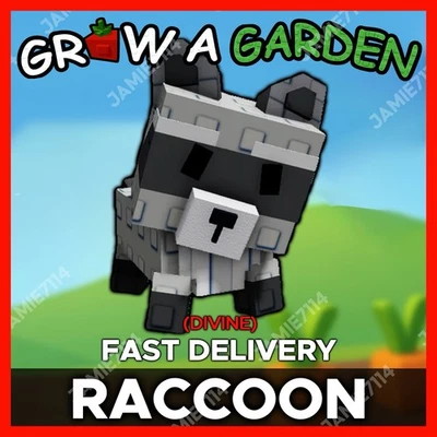 RACCOON | CLEAN NON DUPE |🪴Grow a Garden ‼️FAST & EASY DELIVERY‼️