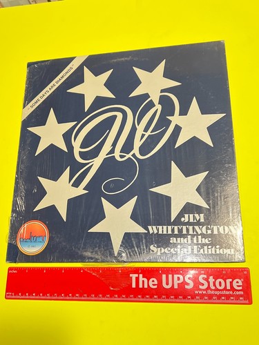 JIM WHITTINGTON AND THE SPECIAL EDITION ~ SOME DAYS ARE DIAMONDS ~ LP SEALED! - Foto 3 di 12