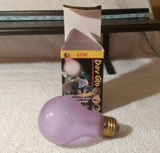 SALE / 2 Reptile Daylight Heat Lamp/UVA Bulbs /60 Watt 2 for 1 Price/ 5.99 
