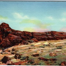 c1940s AZ Petrified Forest Big Log Linen Postcard Native Guide Desert Wood A92
