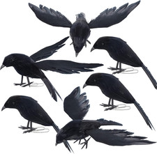 6 Pack Crows Halloween Decorations Realistic Ravens Outdoor Spooky Props