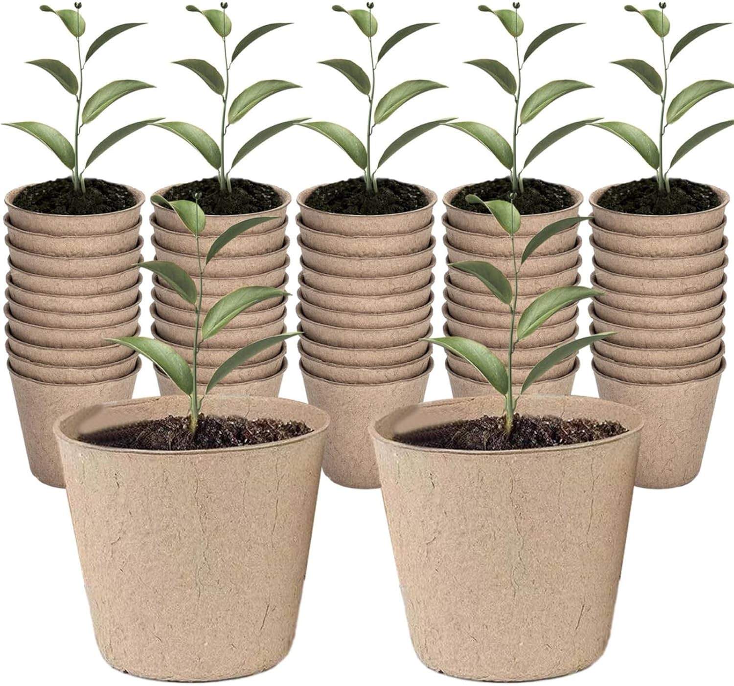 Round Fibre Seed Pots, Biodegradable Plant Pots Germination Seedling Pots for P