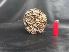 Teaching hand Volcanic Lava basalt specimen stone igneous rock volcanic mineral