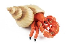 Hermit Crab Sea Animal Toy PVC Action Figure Doll Kids Toys Party Figurine Gifts