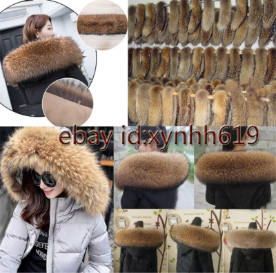 2025 Natur Waschbär Kragen Pelzkragen Pelz Fell Echtpelz Raccoon f Jacke Mantel