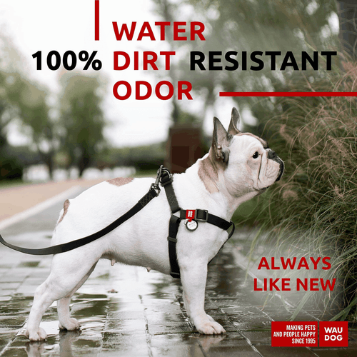 WAUDOG Waterproof Dog Harness Adjustable Dog Harness for Large Dogs Small and - Picture 2 of 6