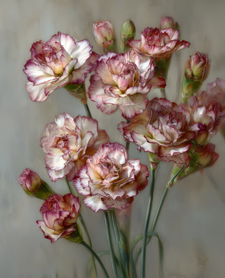 8x10 Cottagecore Storybook Pink and White Flower Bouquet Art Print - 618899952