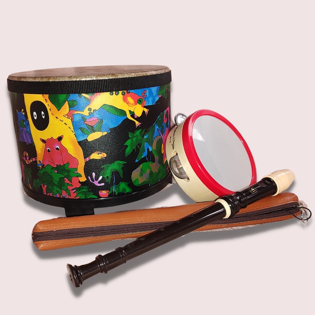 Children's Musical Instruments assorted BUNDLE Remo Drum Tambourine Recorder