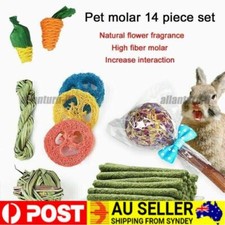 Small Pet Chew Toys Rabbits Hamster Guinea Pig Rat Teeth Grinding Toy