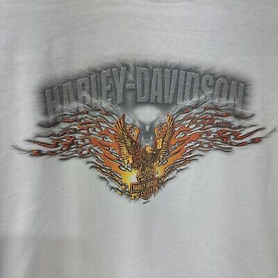 harley-davidson ファイヤーパターン 超希少デザイン】ハーレーダビッドソン☆ファイヤーパターン☆虎