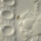 Wedgwood Etruria & Barlaston Patrician Ivory Bread And Butter Plate — photo 7