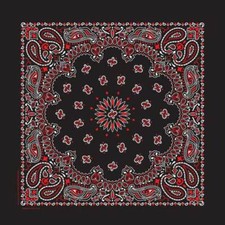 Carolina Creative Bandanna Black/Red Paisley Print 22" x 22" Hav-A-Hank
