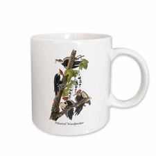 3dRose Pileated Woodpecker by John James Audubon Mug