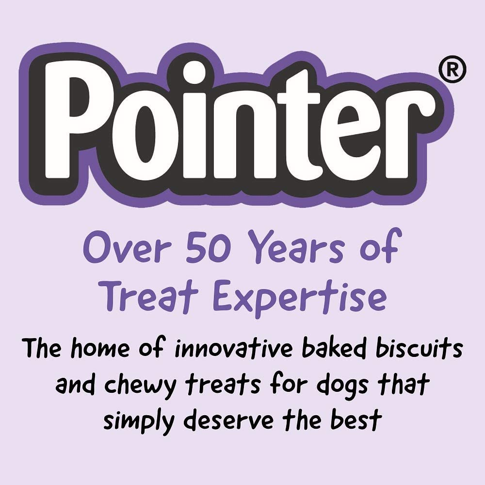 Pointer Beef Flavoured Gravy Bones, Beefy Dog Treats, Tasty Gravy Dog