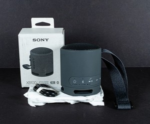 Sony SRS-XB100 Wireless & Bluetooth Speaker Review - Consumer Reports