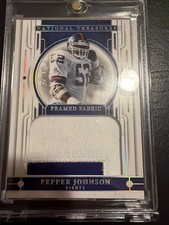 2023 Panini National Treasures Framed Fabric Pepper Johnson Holo Silver /25 