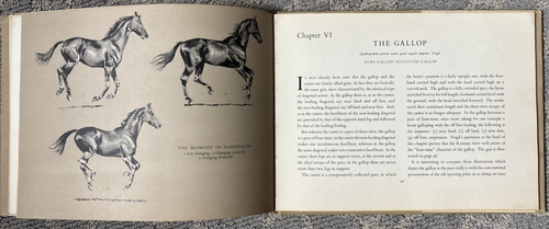 The Horse In Action 1954 Henry Wynmalen First Edition - Picture 10 of 14