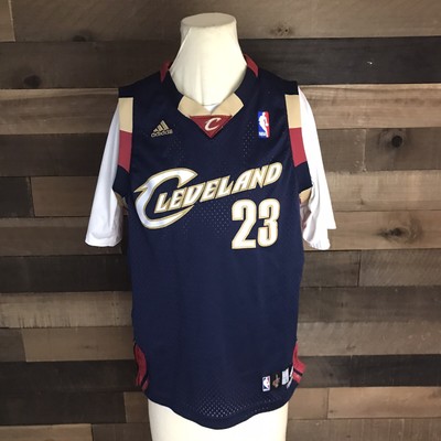 lebron in cubs jersey