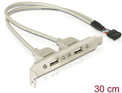 Delock Slotblech 2 x USB 2.0 Typ A Buchse extern (71000)