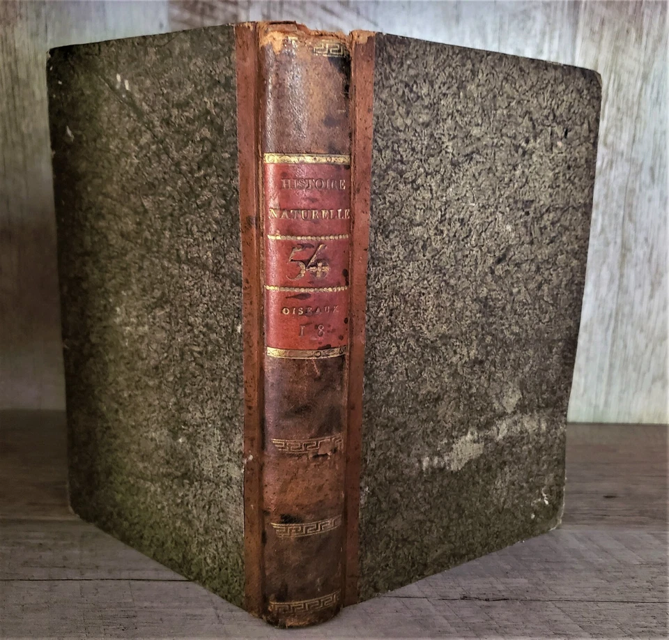 1800 BUFFON - NATURAL HISTORY OF BIRDS With Engravings - Image 3 of 4