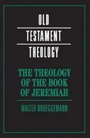 Walter Brueggemann | The Theology Of The Book Of Jeremiah | Buch | Englisch