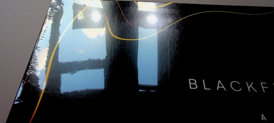 Blackfield- For The Music LP 2020 PINK Vinyl NEW** Steven Wilson/Porcupine Tree - Image 3 of 4