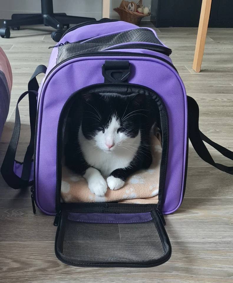 Transporttasche Katze Hund, Faltbare Transportbox, Haustier Tragebox, , leich... - Bild 2 von 4