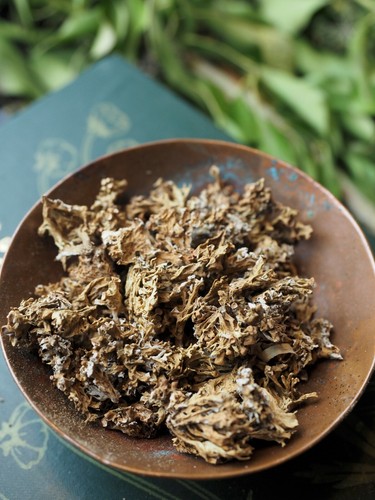 Herbs, Spices & Resins for Incense & Spell Making - Wicca, Pagan, Witchcraft - Picture 192 of 352