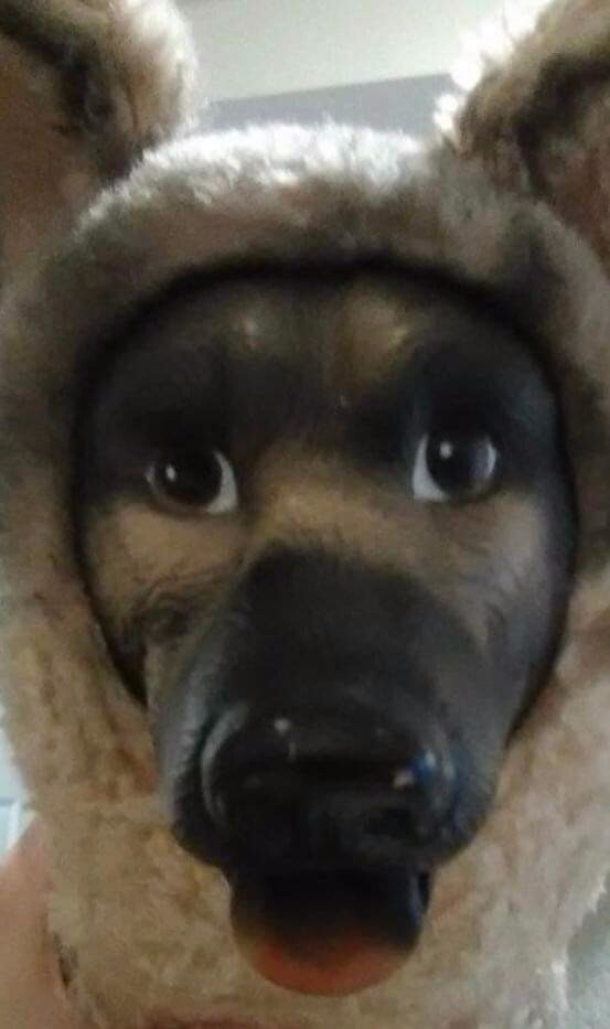 Vintage 1968 Rubber Face Plush Rin Tin Tin Toy 