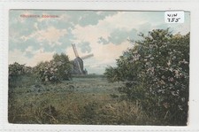 COULSDEN Surrey   The Common with WINDMILL  # win 755