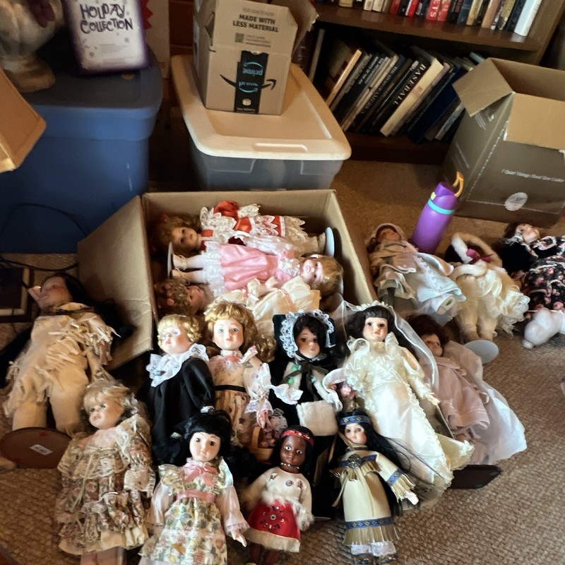 Lot of 17 Assorted Girl Doll Various Sizes Mixed Outfits Most with the Coll card