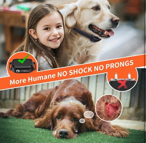 No ShockDog Collar with Remote 3300ft Range, Strong Vibrating, Beep BLACK - Picture 2 of 7