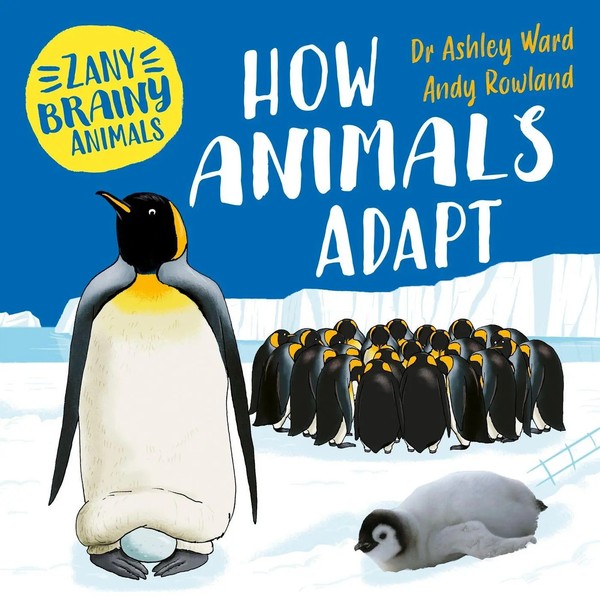 Zany Brainy Animals: How Animals Adapt | Ashley Ward | Taschenbuch | Englisch-image