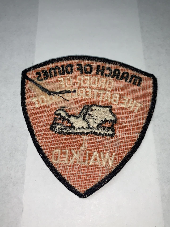 Order Of The Battered Boot I Walked 20 Miles March Of Dimes Sew-On Patch - Image 4 of 4