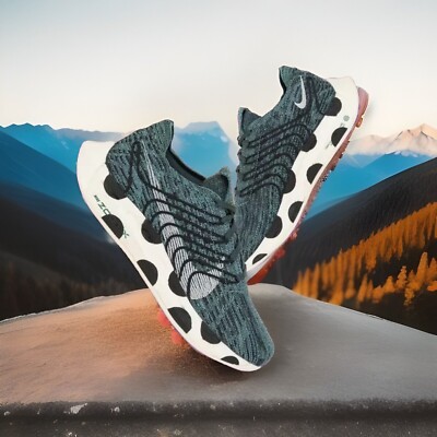 Nike Pegasus Turbo Next Nature 'Polka Dots' DM3413-300 Mens