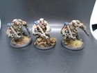 Bild 11 von 12