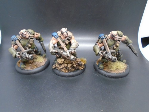 Warmachine Painted Mercenary Ogrun Assault Corps Full Unit - Picture 11 of 12