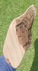 Bild 9 von 19
