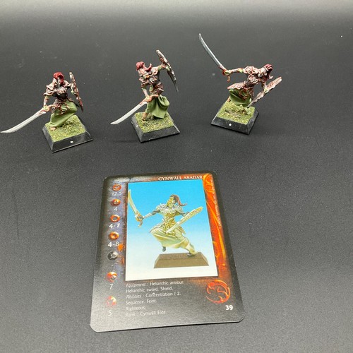 Rackham Confrontation Cynwall Elves Asadar Unit Painted and Assembled Metal