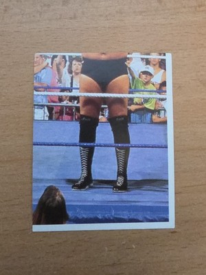 WWF Sticker Million Dollar Man Ted DiBiase Merlin 1992 Aufkleber # 31 Money Inc.