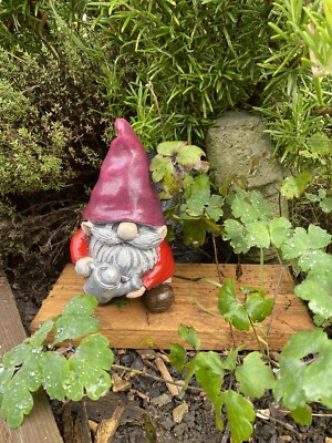 Gnome/Gonk