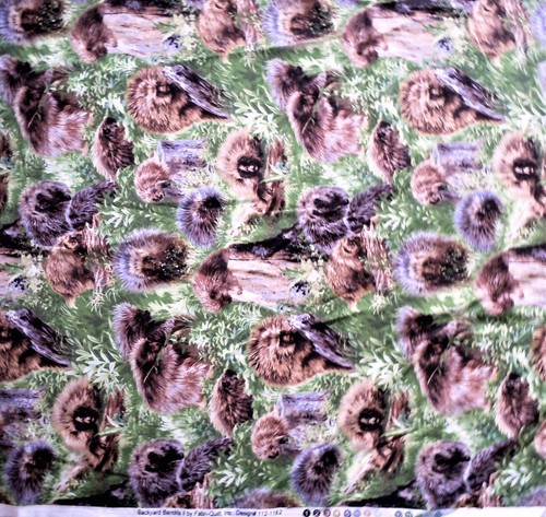 Tessuto Fabri-Quilt Porcospini Cortile Banditi II Design #112-1182 Trapuntatura BTY - Foto 2 di 2