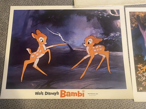 Walt Disneys Bambi in Technicolor 6 Lobby Karten Set SELTEN KOSTENLOSER VERSAND - Bild 7 von 12
