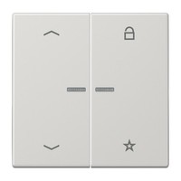 Jung Enet Funk-Steuertaste Fm Ls 1701 P Lg Intelligent FMLS1701PLG Enet